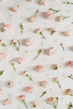 Beyaz arka planda güzel pembe karanfil desenli çiçekler. Zarif düz yatış, üstten çiçekli kompozisyon.