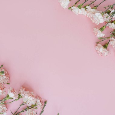 Minimum çiçekli konsept. Pembe arka planda pembe karanfil çiçekleri ve fotokopi alanı. Yaratıcı düğün davetiyesi şablonu. Düz yatış, üst görünüm