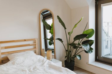 Modern İskandinav ev iç tasarımı. Rahat yataklı yatak odası, tropikal palmiye bitkisi, ayna, lamba, geniş pencere. Kira konsepti için şık bir daire.