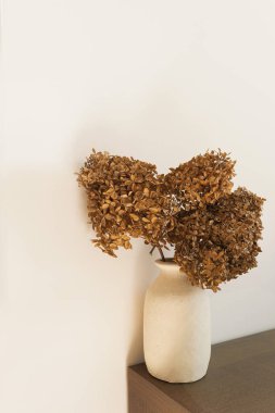 Beyaz duvarın üzerinde beyaz kil vazoda kurutulmuş ortanca çiçeği buketi. Tatil kutlaması konsepti. İç dekorasyon