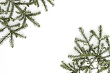 Noel, yeni yıl tatili kompozisyonu. Beyaz arka planda Noel ağacı dalları ve iğnelerinden yapılmış boş fotokopi alanı ile çerçeveyi düzenle. Düz konum, üst görünüm şablonu