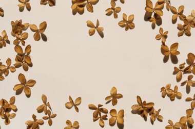 Sıcak beyaz arka planda yıldız çiçeğinin taç yapraklarını taklit eden boş bir çerçeve. Düğün davetiyesi şablonu. Düz yatış, üst görünüm