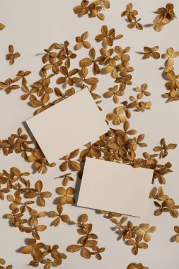 Sahte kopya alanı olan boş kağıt kağıtlar, sıcak beyaz arka planda estetik güneş ışığı gölgeli yıldız çiçek yaprakları. Düğün davetiyesi şablonu. Düz yatış, üst görünüm