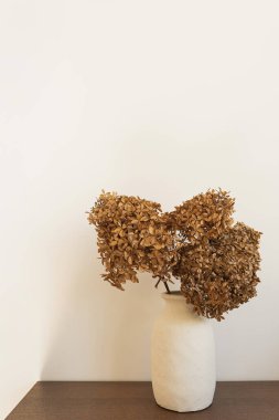 Kil vazoda kuru bronz ortanca çiçeği buketi. Minimum modern iç dekorasyon konsepti. Çiçek bileşimi