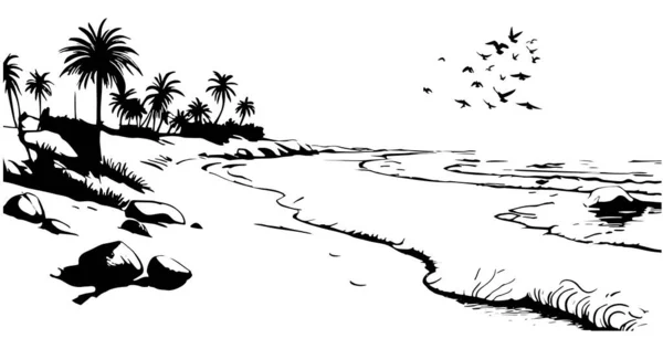 Praia Areia Com Palmeiras Rochas Com Pássaros Voadores Céu Desenho —  Vetores de Stock