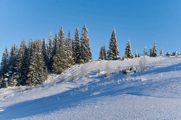 Hermoso Invierno Las Montañas Capathian Brillante Sol Brillando Sobre Bosque — Foto de Stock