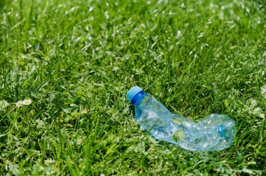 Buruşmuş, bükülmüş plastik şişe çimenlerde, çevre kirliliğinde, yakın planda yatıyor.