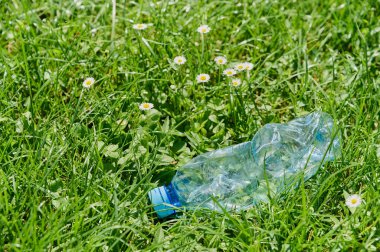 Buruşmuş, bükülmüş plastik şişe çimenlerde, çevre kirliliğinde, yakın planda yatıyor.