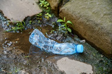 Buruşmuş, bükülmüş plastik şişe bir su birikintisinde yatıyor, çevre kirliliği.
