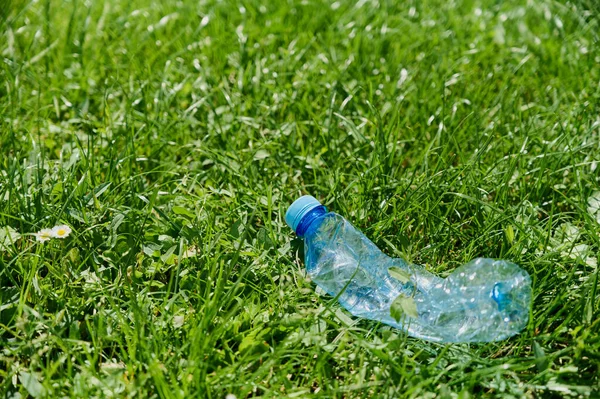 Buruşmuş, bükülmüş plastik şişe çimenlerde, çevre kirliliğinde, yakın planda yatıyor.