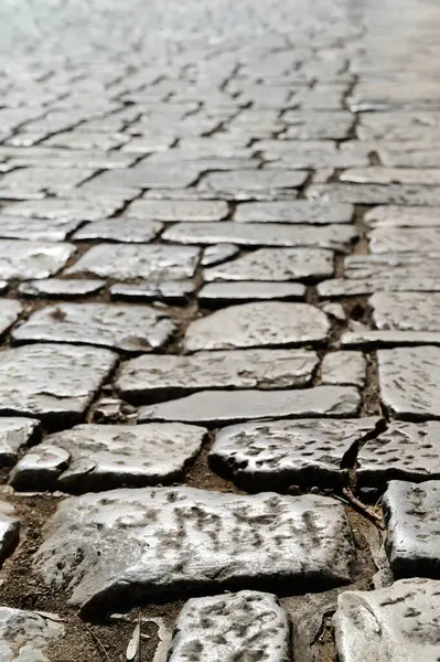 Antik Yunan, kaldırım kaldırımı, dikey arkaplan deseni