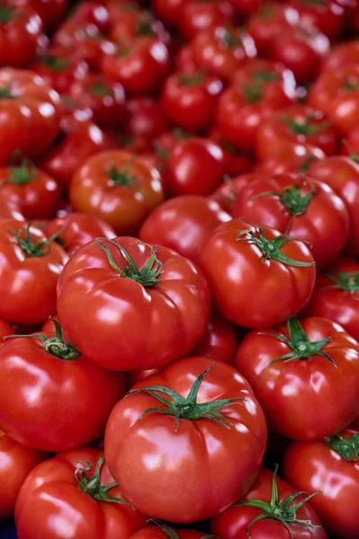A lot of freshly harvested tomatoes on a market stall, closeup, vertical, background