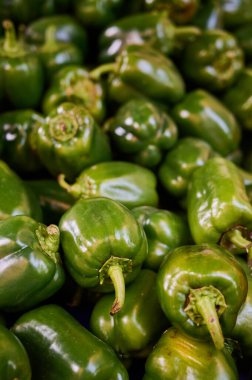 Taze toplanmış, temiz ve dikey olarak yeşil dolmalık biber kullanılmaya hazır.
