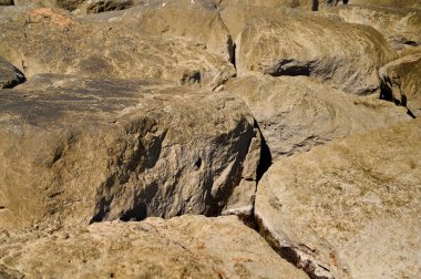 Kıyı bölgesindeki desenli kaya oluşumları renk ve desenlerin bir karışımını gösteriyor. Parlak güneş ışığı yüzeyleri vurgular, doğal güzellikleri ve jeolojik detayları gözler önüne serer..