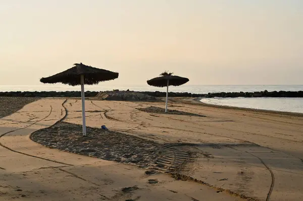 Yumuşak altın ışık, iki sazdan şemsiyenin kumlu sahilde nöbet tuttuğu sakin kıyı şeridini yıkıyor. Sabahın erken saatlerinde hafif gelgitin yanında ziyaretçilerin ayak izleri var..