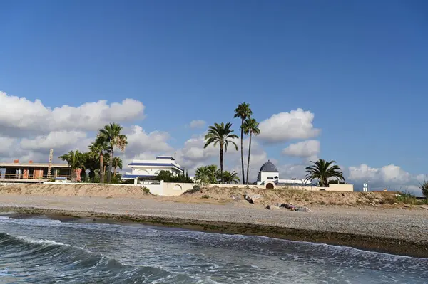 Sallanan palmiye ağaçları büyüleyici bir sahil inzivasına çekilirken kayalık sahilde hafif dalgalar tur atar. Parlak güneş ışığı, bu huzurlu deniz kenarı mekanına sıcak bir ışık saçıyor..