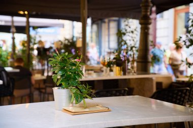 Müşteriler açık bir kafede rahatlatıcı bir öğleden sonranın tadını çıkarırlar, masaların üzerinde canlı bitkilerle ve sıcak bir sosyal atmosferle çevrili, gevşemek ve bağlanmak için mükemmel bir yer..