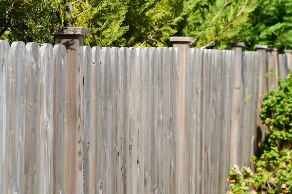 Güneş ışığı kırsal bir ahşap çitin pürüzsüz yüzeyinde parıldıyor, yemyeşil ve çiçeklerin arasında dimdik duruyor, sakin bir açık hava atmosferi yaratıyor..