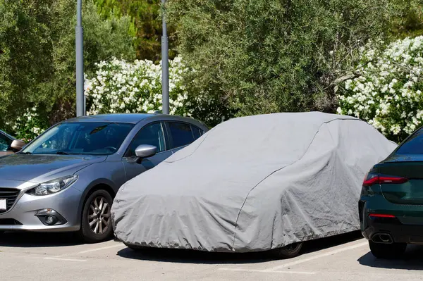 Gri renkli bir araba, diğer araçların arasına park edilmiş koruyucu bir muşambayla kaplıdır. Yeşillik ve açan çiçekler berrak gökyüzünün altında canlı bir zemin oluşturur..