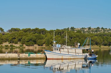 Bir balıkçı teknesi durgun sularda huzur içinde yatar. Ağaçlar açık mavi gökyüzünün altında kıyı boyunca uzanır..