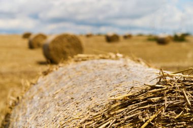 Saman balyaları güneş ve bulutların karışımı altında altın bir tarlada dinleniyor, kırsal tarımın güzelliğini vurguluyor..
