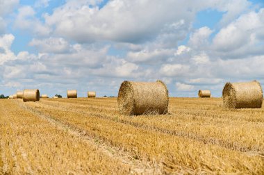 Yuvarlak saman balyaları toplanan bir tarlada tüylü bulutlarla dolu açık mavi bir gökyüzünün altında düzenlenir..