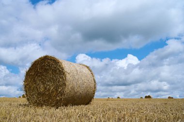 Büyük, yuvarlak saman balyaları toplanmış bir tarlada duruyor. Parlak bir gökyüzünün altında birkaç balya etrafa saçılmış..
