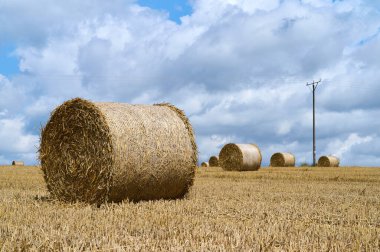 Büyük, yuvarlak saman balyaları altın bir tarlada oturuyor. Kabarık bulutlar ve elektrik direğiyle..