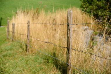 Kırsal bir dikenli tel tel, açık mavi gökyüzünün altında uzun bir çimen tarlası boyunca uzanır ve kırsal huzuru gösterir..