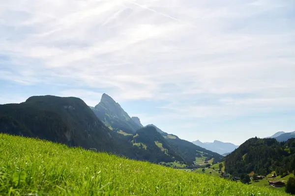 Bereketli yeşil tepeler ön planda uzanır. Muhteşem dağlar arka planda yükselir. Açık bir gökyüzünün altında..