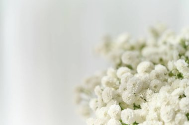 Küçük beyaz çiçeklerden oluşan bir küme zarif bir görüntü oluşturur. Karmaşık detaylar ve yumuşak gölgeler sergiler..