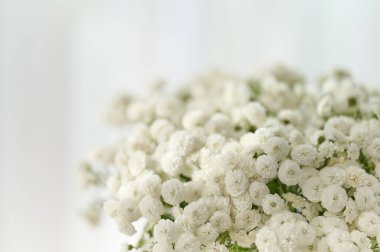 Ön planda bir grup küçük beyaz çiçek, arka planda barışçıl ve sakinleştirici bir ortam yayar..