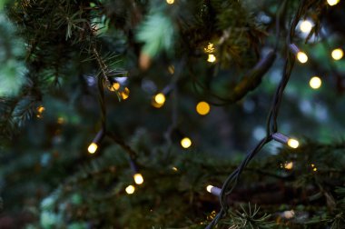 Işıl ışıl parlayan ışıklar yemyeşil dallardan sarkır ve sessiz bir gecede rahat bir atmosfer yaratır..