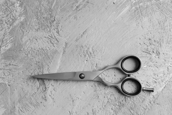 Metal scissors  with place for text. Professional salon haircut, hair care. A quality tool. Hairdressing, modern haircuts. Sharp scissors.