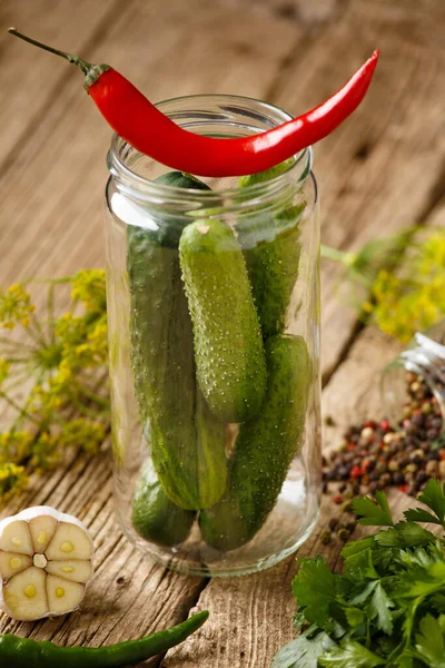 Fresh Cucumbers Spices Jar Home Preservation Gherkins Chili Peppers Dill — Foto Stock
