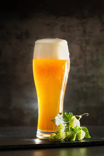 Glass Light Beer Foam Dark Background Bunches Green Hops Unfiltered — Stockfoto
