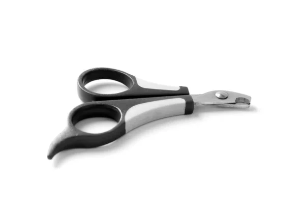 Tool Clipping Claws Animals White Background Scissors Cutting Claws Pets — Stock Photo, Image