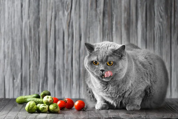 Cat Eats Vegetables Licks Its Lips Healthy Nutrition Thoroughbred Cat — Stockfoto