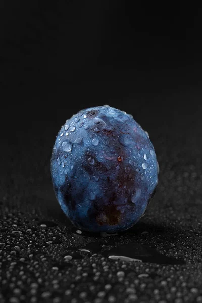 Blue plum with water drops on a black background. Ripe plum close-up. Summer fruits. One plum on a black background.