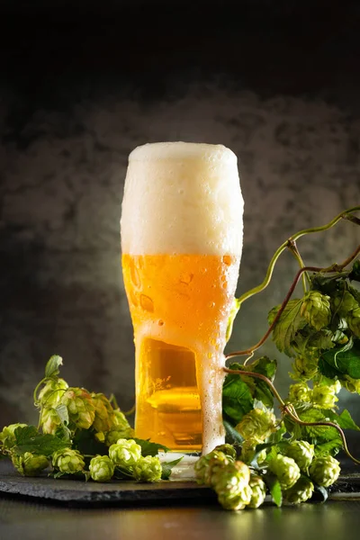 Glass Light Beer Foam Dark Background Bunches Green Hops Unfiltered — Stockfoto