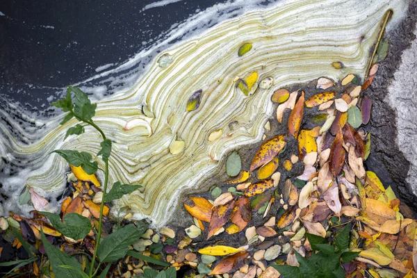 环境保护 水资源保护 河流中五彩斑斓的树叶 树叶和水面上斑点的抽象背景 — 图库照片