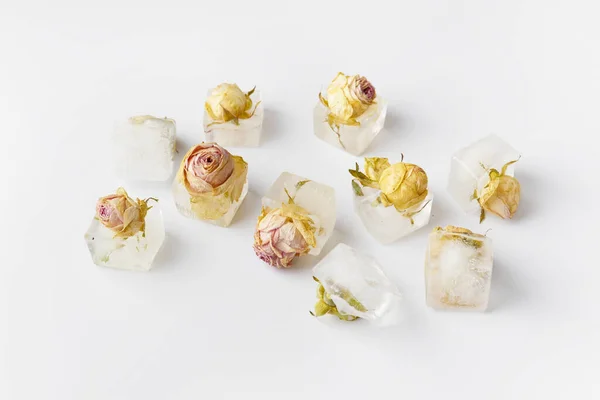 Konzeptionelle Zusammensetzung Rosenknospen Eiswürfeln Auf Weißer Isolation Rosen Eingefroren Eis — Stockfoto