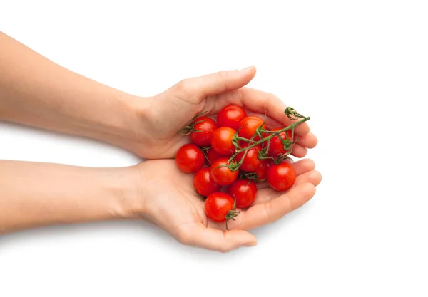 stock image Fresh cherry tomatoes in hands on a white background close-up top view. Organic tomatoes in female palms on isolation. The girl holds a crop of tomatoes in hands.