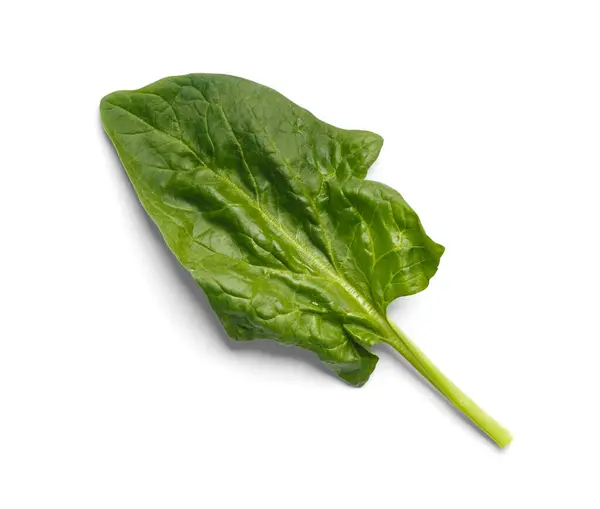 叶绿色新鲜的有机菠菜在白色背景特写 顶部视图 — 图库照片