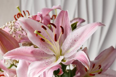 Beyaz arka planda bir buket pembe zambak. Arka plan olarak Lily çiçekleri.