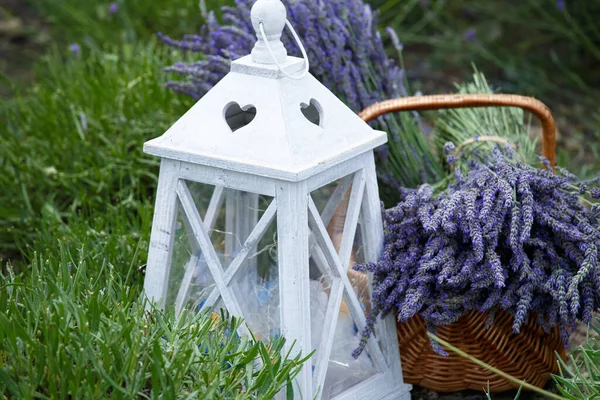 Large Bouquets Lavender Wicker Basket Lavender Field — Φωτογραφία Αρχείου