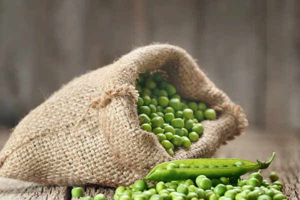 Fresh organic peeled green peas in a burlap bag, open green pea pods, scattered ripe pea seeds on an aged wooden background. Vegetable protein, healthy products.