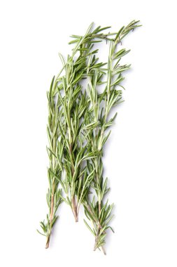 Beyaz arka planda izole edilmiş taze yeşil biberiye dalları, üst manzara. Kokulu bitkiler, baharatlar, şifalı bitkiler. Biberiye filizleri.
