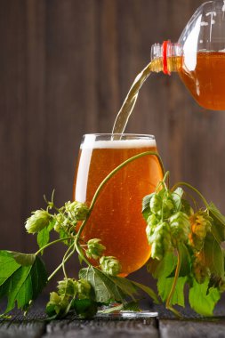 Bira şişeden koyu ahşap arka planda bir bardağa dökülür. Bira ve yeşil zıpzıp. Doğal bira kavramı. Oktoberfest. Bira Festivali. Aziz Patrick Günü.