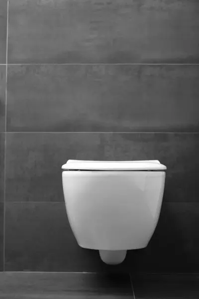 Modern Wall Mounted White Toilet Closed Lid Shiny Chrome Flush — Stock Photo, Image